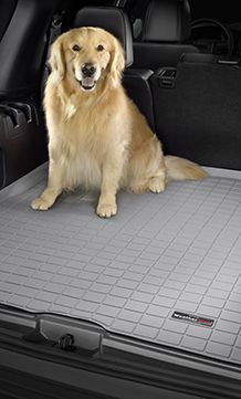 Car Mats, Floor Mats, Trunk Liners, Window Deflectors