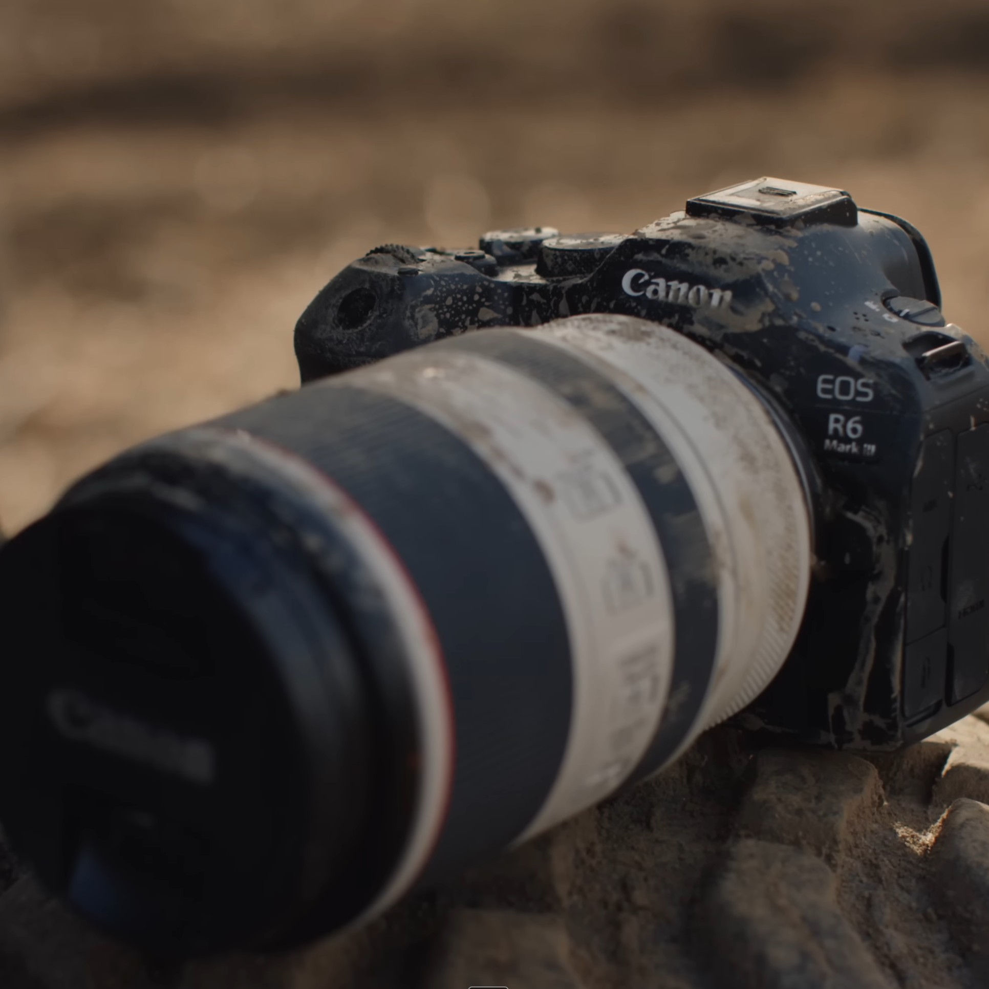 RF70-200mm F2.8 L IS USM Lens